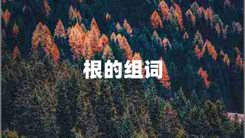 根的組詞