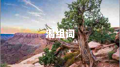 渴組詞