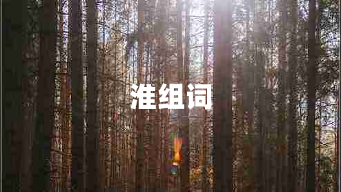 淮組詞