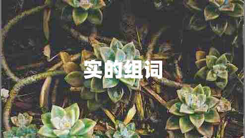 實(shí)的組詞