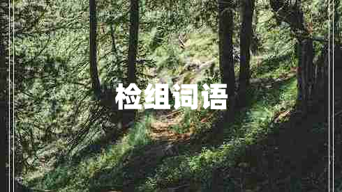 檢組詞語(yǔ)