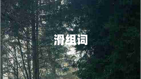 滑組詞