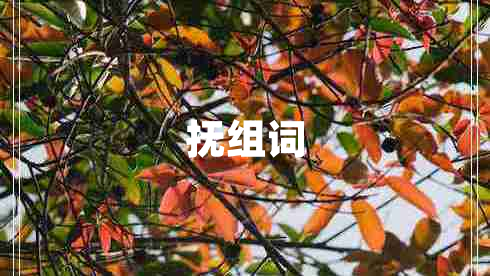 撫組詞