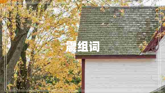 震組詞