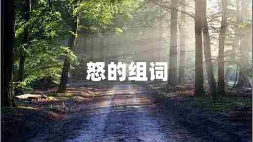怒的組詞