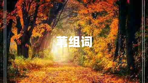 葦組詞