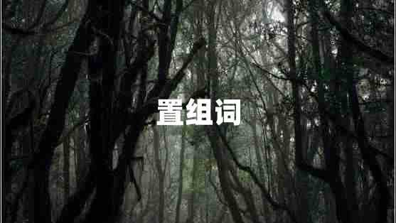 置組詞