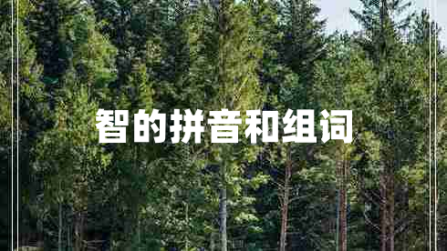 智的拼音和組詞
