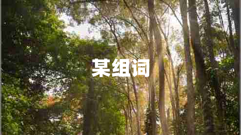 某組詞