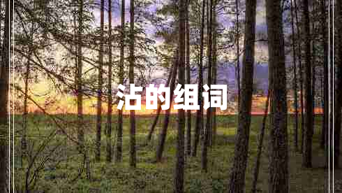 沾的組詞