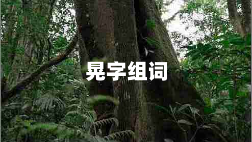 晃字組詞