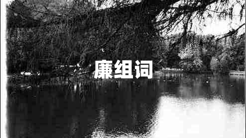 廉組詞