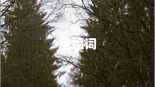 龜組詞