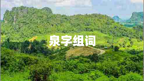 泉字組詞