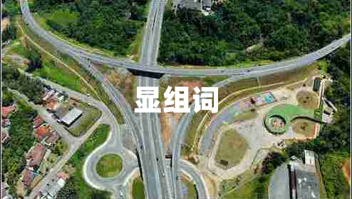 顯組詞