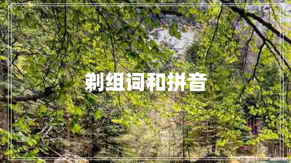 剃組詞和拼音