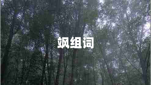 颯組詞