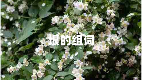 垠的組詞