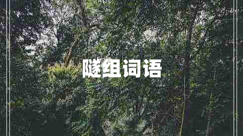 隧組詞語(yǔ)