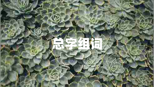 總字組詞