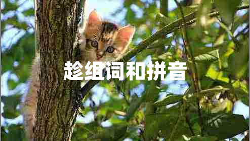 趁組詞和拼音