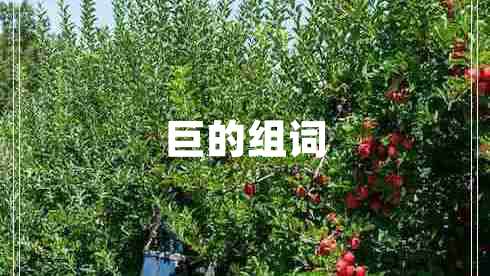 巨的組詞