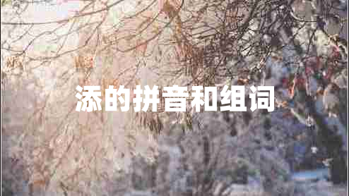添的拼音和組詞