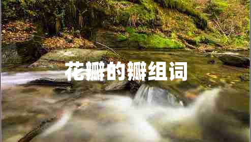 花瓣的瓣組詞