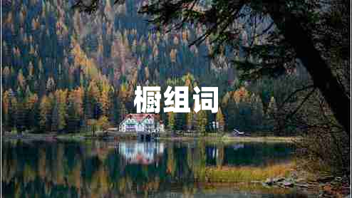 櫥組詞
