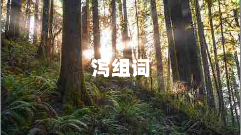 瀉組詞