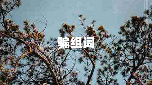 騙組詞