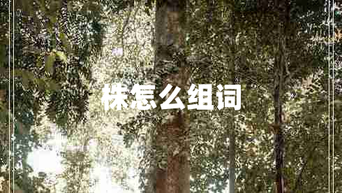 株怎么組詞
