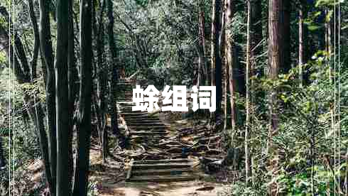 蜍組詞