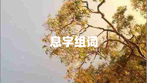 息字組詞