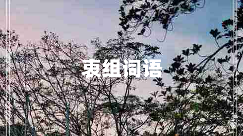 衷組詞語(yǔ)