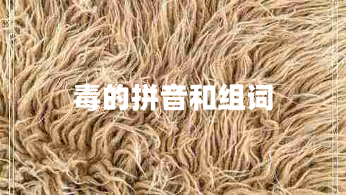 毒的拼音和組詞