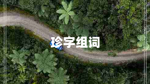 珍字組詞