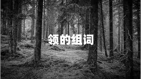 領(lǐng)的組詞