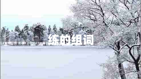 練的組詞