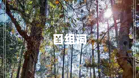 舀組詞