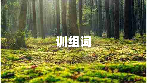 訓組詞