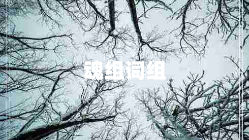 魂組詞組