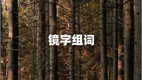 鏡字組詞