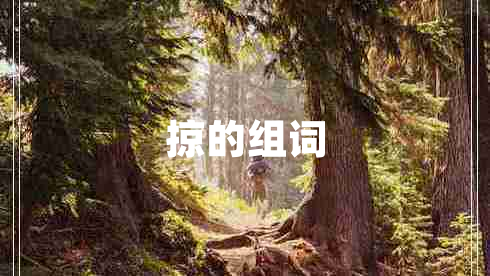掠的組詞