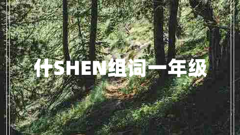 什SHEN組詞一年級