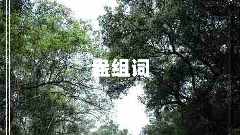 盎組詞