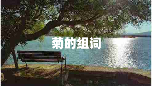 菊的組詞