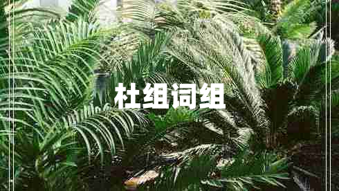 杜組詞組