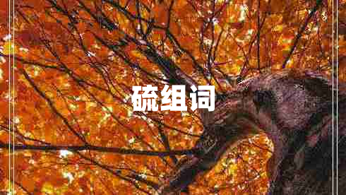 硫組詞