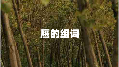 鷹的組詞